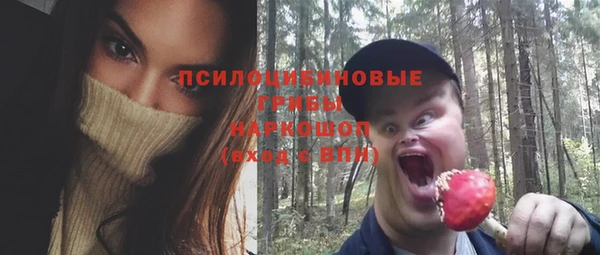 спайс Лагань